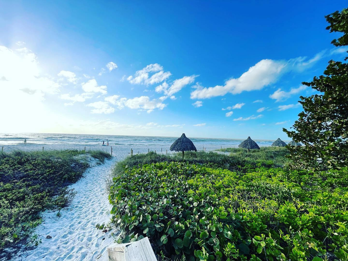 Lowdermilk Park