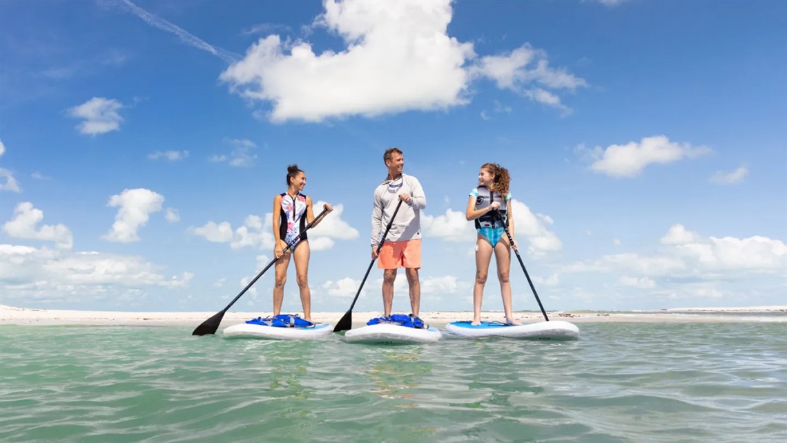 Family on Standup Paddleboards