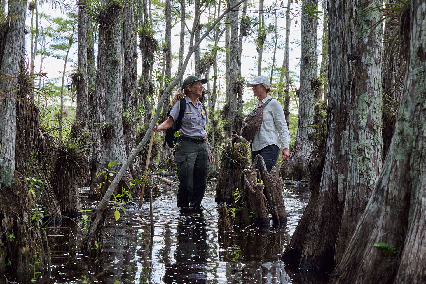 Big-Cypress-Swamp-Walk-R5-1061.jpg