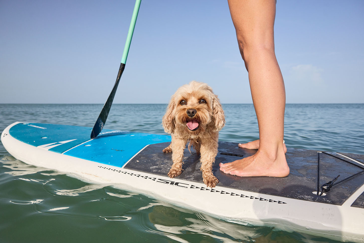 Paddleboarding-JennGoodell-r5-0249.jpg