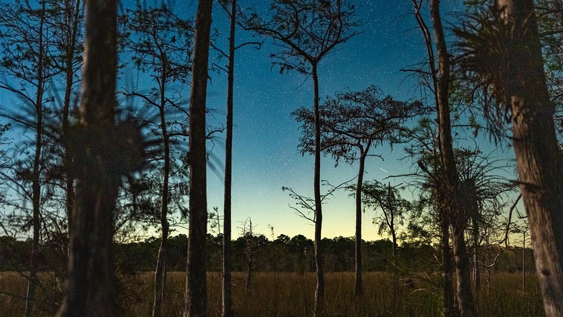 Dark Skies Big Cypress Hero