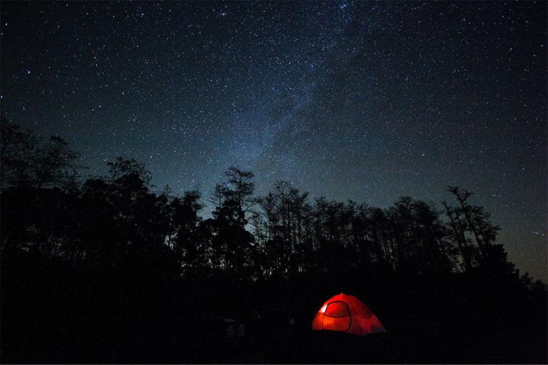 Burns Lake, February 2014, Big Cypress National Preserve