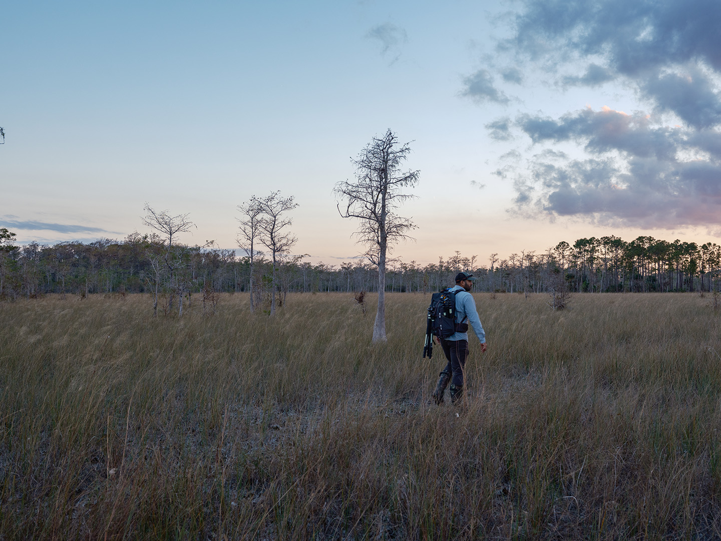 Dark Skies Anthony Sleiman Hiking in Big Cypress Preserve