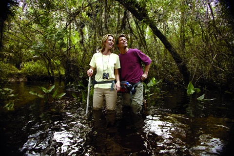 Swamp-Meditation-at-Audubon-Corkscrew-Swamp-Sanctuary_001