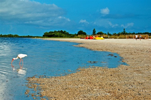 Tigertail-Beach-Park.jpg