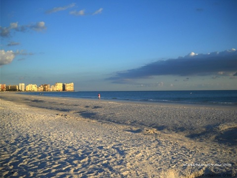 Marco-Island-Area-Chamber-of-Commerce-Visitor-Center_005.jpg