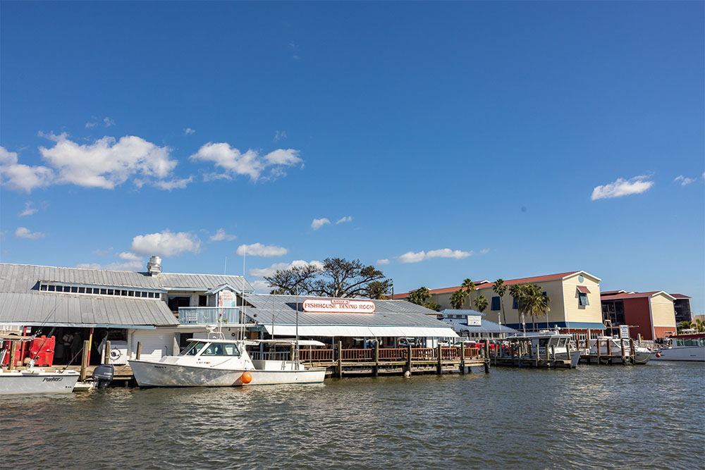ParadiseCoast-Stone Crab-Foodie-Itinerary-2.jpg