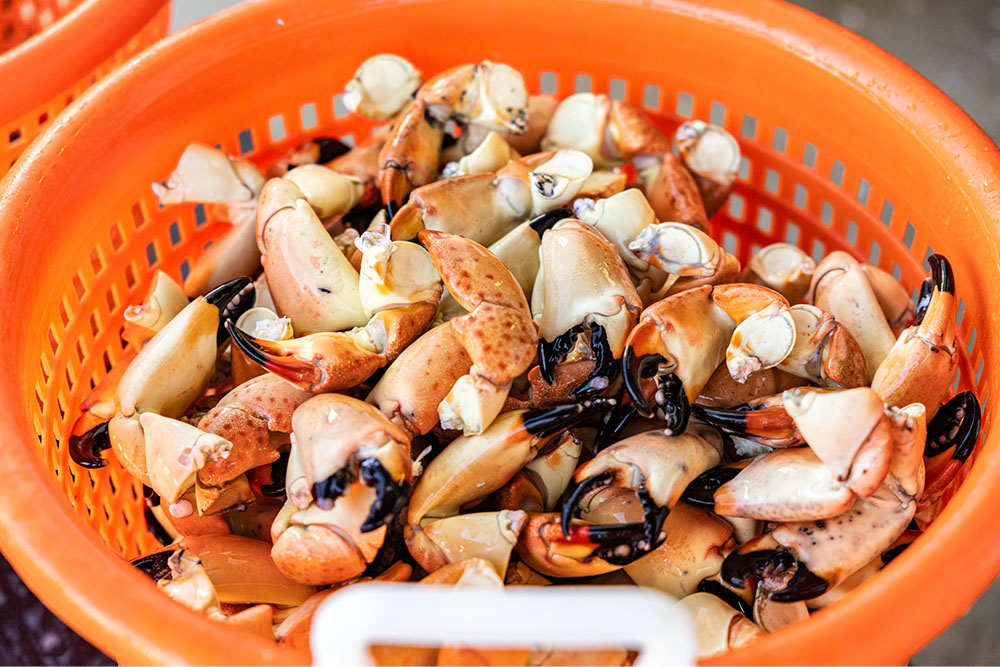 ParadiseCoast-Stone Crab-Blessing-Fleet-2.jpg