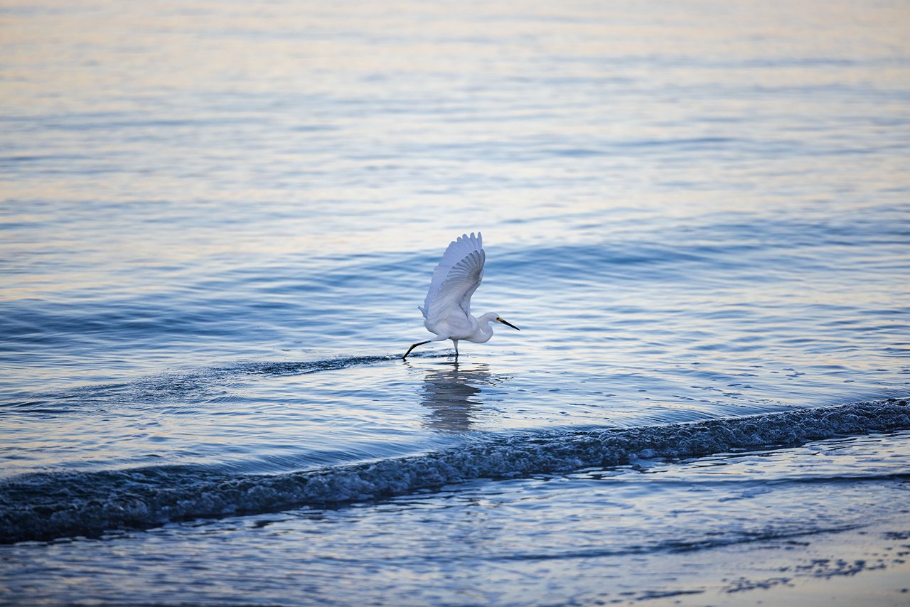 4-Standard JPG-Naples-Pier-Sunrise-93.jpg