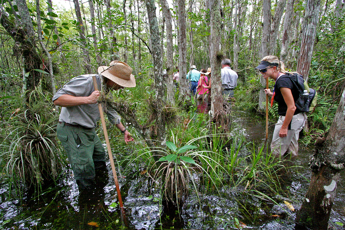 Big Cypress Swamp Walk.jpg