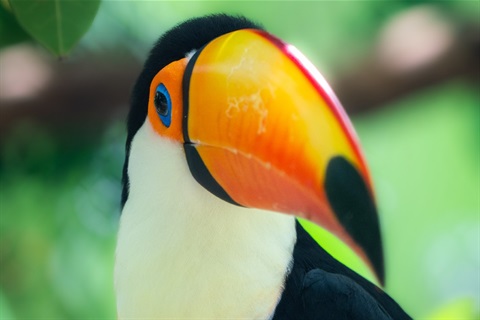 South-America-Trail-at-the-Naples-Zoo.jpg