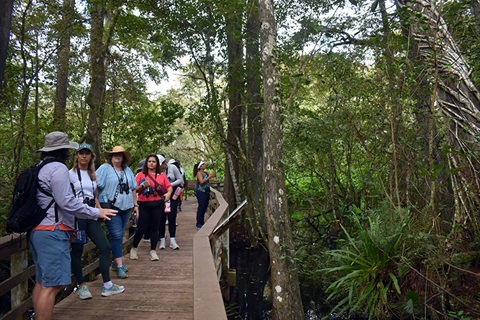 Corkscrew Swamp Sanctuary Tour.jpg