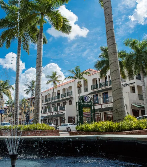 View of a fountain in a downtown shopping area