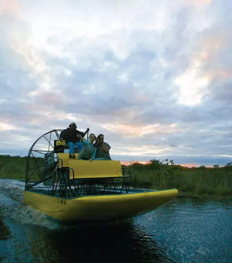 Explore the Everglades in an Airboat.