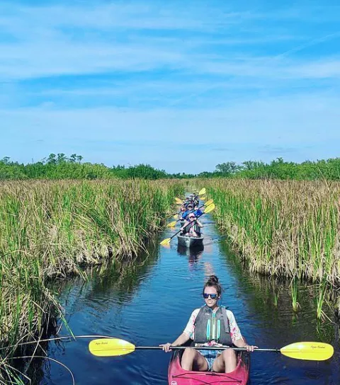 A woman kayaks down a water path in the mangroves