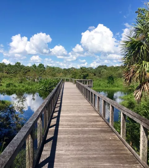 Explore the boardwalk at Freedom Park