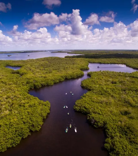 listing-49-Guided Kayak Tour.jpg