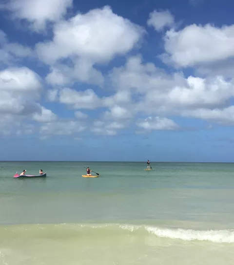 marco-island_1.jpg marco-island_1.jpg