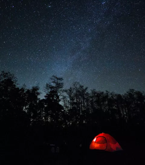 Camping in Big Cypress along Monument Lake. 