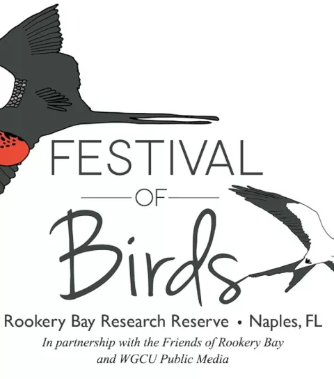 Festival of Birds 2025 Photo