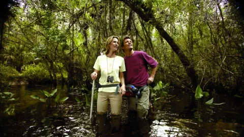 And that\'s not all. Deep in the forests of the Aud And that\'s not all. Deep in the forests of the Aud