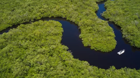 Aerial shot of a waterway winding through a wetlan