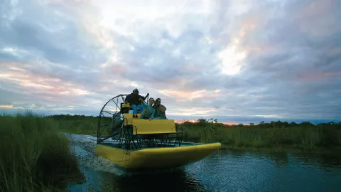 Explore the Everglades in an Airboat. Explore the Everglades in an Airboat.