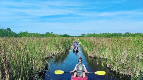 A woman kayaks down a water path in the mangroves A woman kayaks down a water path in the mangroves