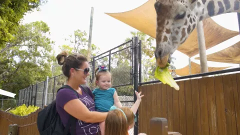 Explore Naples with kids at the zoo. Explore Naples with kids at the zoo.