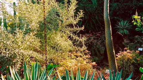 Explore the Naples Zoo