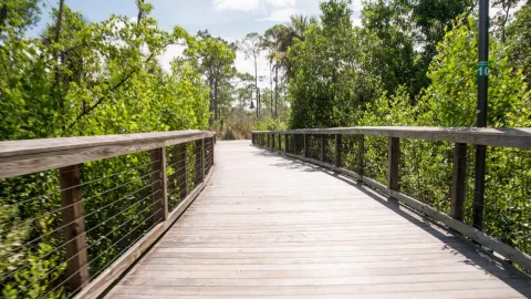 Find your wellness retreat in Naples and San Marco Find your wellness retreat in Naples and San Marco