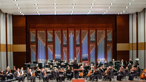 A conductor leads an orchestra. A conductor leads an orchestra.