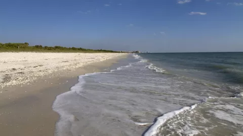 listing-134-Barefoot Beach 2013.jpg listing-134-Barefoot Beach 2013.jpg