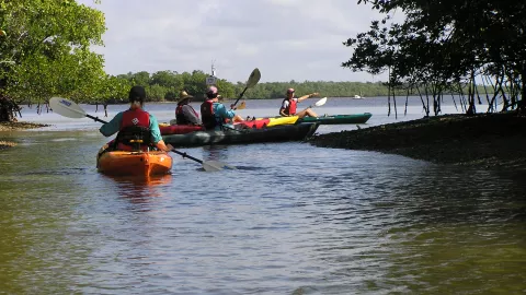 listing-1604-kayakers at Rookery Bay.JPG