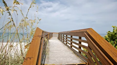 En Clam Pass Beach Park, una reserva costera de 14 En Clam Pass Beach Park, una reserva costera de 14