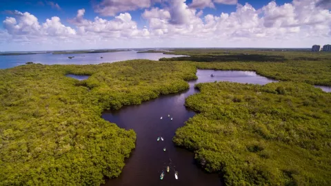 listing-49-Guided Kayak Tour.jpg listing-49-Guided Kayak Tour.jpg
