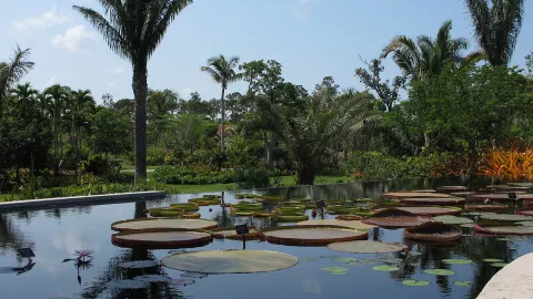 listing-6120-Naples_Botanic_Garden_03.jpg listing-6120-Naples_Botanic_Garden_03.jpg