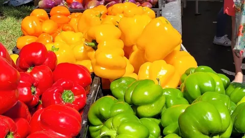 How about some fresh vegetables from Vandermrbilt How about some fresh vegetables from Vandermrbilt