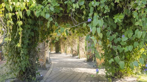 Naples Botanical Garden is a 170-acre, world-class Naples Botanical Garden is a 170-acre, world-class
