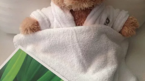 naples_grande_spa_teddy.jpg naples_grande_spa_teddy.jpg