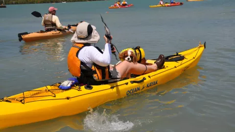 Everglades City is the launch site for a visit to