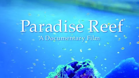 paradise_-reef-poster.jpg paradise_-reef-poster.jpg