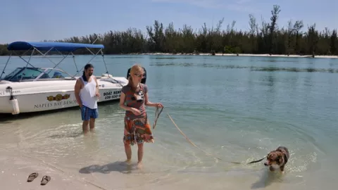 Two people play with a dog in the shallow waters o