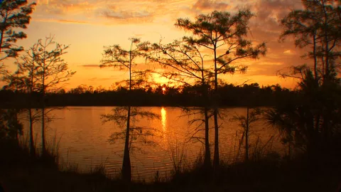 Sunset in Big Cypress National Preserve by Elam S.