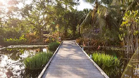 Naples Botanical Garden