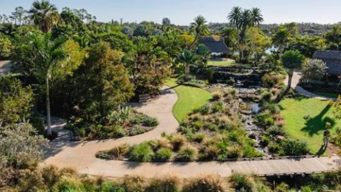 Naples Botanical Garden