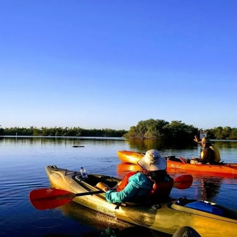 Jenny's Eco Everglades Wilderness Tours Photo 2