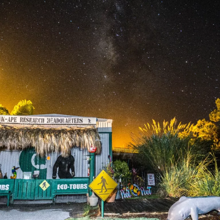 Night sky over Skunk Ape Headquarters shop at Trail Lakes Campground Photo 2