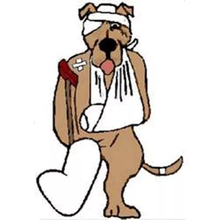 Emergency Pet Hospital of Collier County Photo