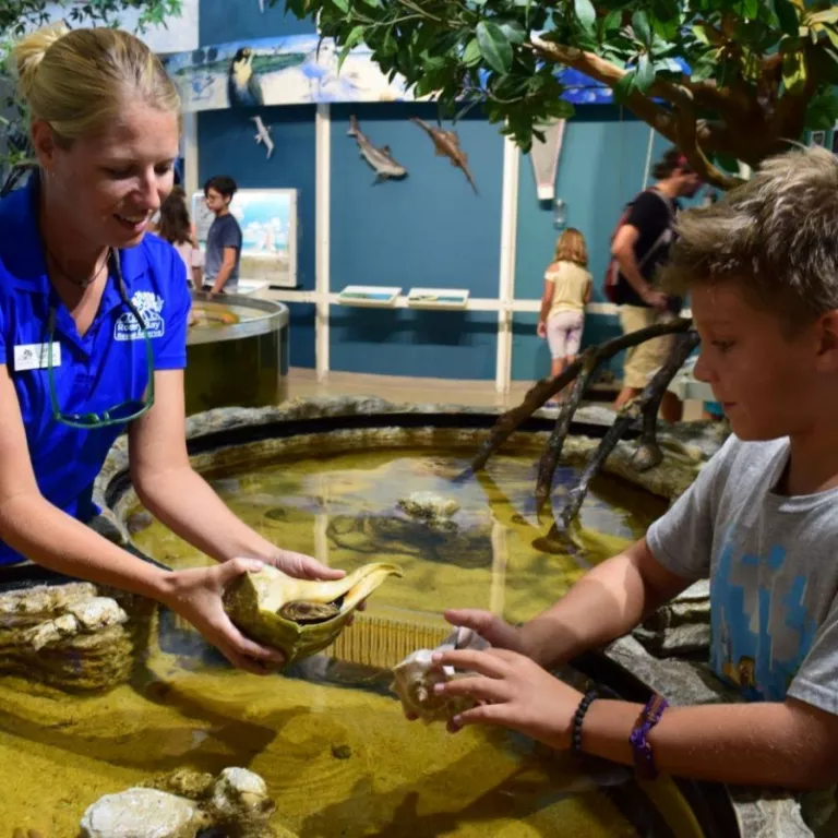 Rookery Bay Environmental Learning Center Photo